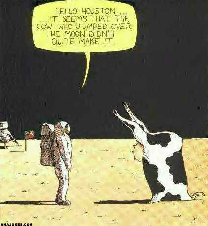 Cow over the Moon