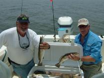 Thumbnail version of DSCF0222.jpg, image 3 of 18