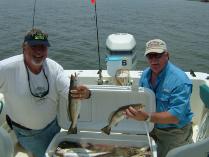 Thumbnail version of DSCF0223.jpg, image 4 of 18