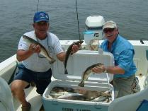 Thumbnail version of DSCF0224.jpg, image 5 of 18