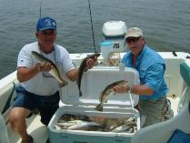 Thumbnail version of DSCF0225.jpg, image 6 of 18